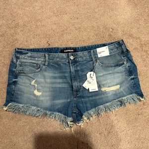 NWT Express Distressed Denim Shorts